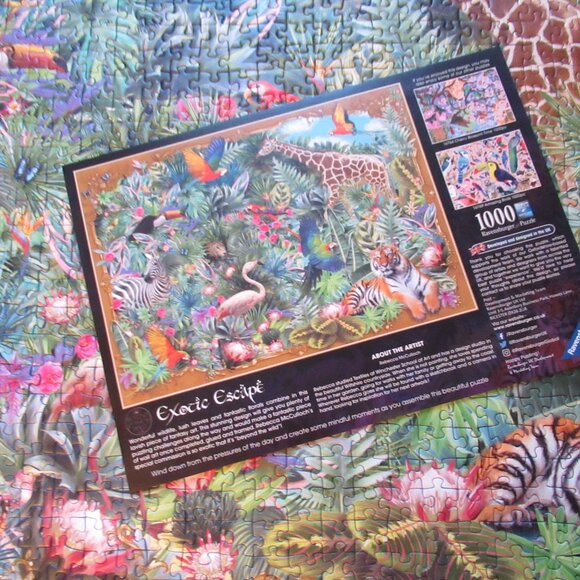 Exotic Escape Puzzle - Picture 8 of 16